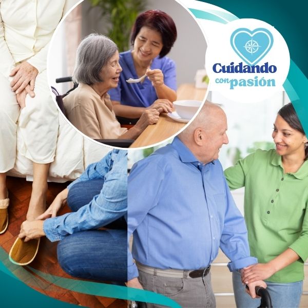 servicios1 servicios1